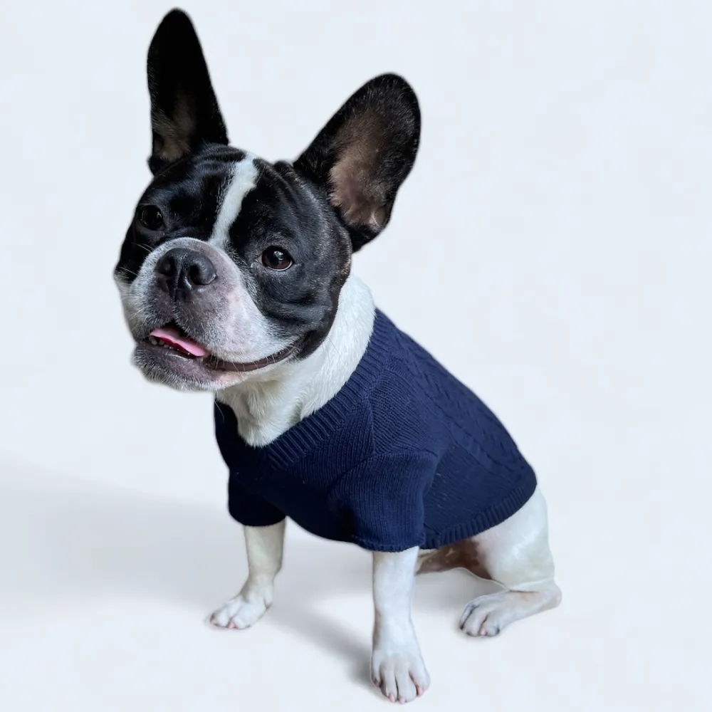 Talking Dog Club Doggy Jumper Sweater for Dogs and Cats (Navy Blue)